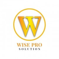 Wise Pro Solution Plt company logo