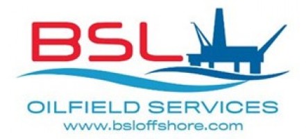 BSL Containers Sdn Bhd company logo