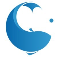Big Fish Hunter Executive Search company logo
