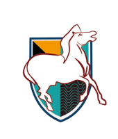 RISING CAPITAL SDN BHD company logo