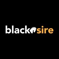 Black Sire Technology Sdn Bhd company logo
