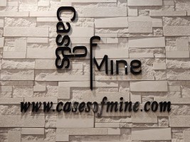 Cases Of Mine company logo