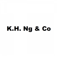 K H NG & CO company logo