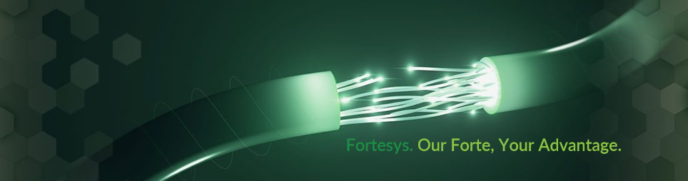 Banner for Fortesys Sdn Bhd