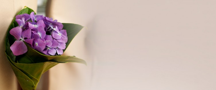 Banner for Spring Cottage Sdn Bhd