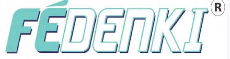 FE Denki Sdn Bhd company logo