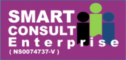 SMART CONSULT Enterprise company logo