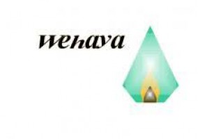 WEHAYA PROCESS SDN BHD company logo