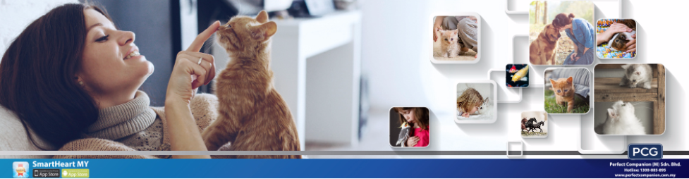 Banner for Perfect Companion (M) Sdn Bhd