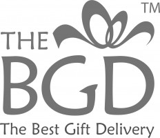 THE BEST GIFT DELIVERY company logo