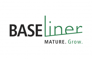 Baseliner Consulting Sdn Bhd company logo