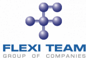 Flexi Team System Sdn Bhd company logo