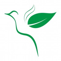 EVERLANTERN company logo