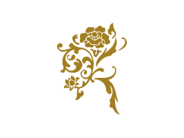 Skin Town company logo