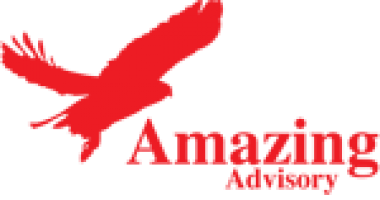 Amazing Advisory Sdn Bhd company logo