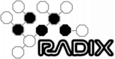 Mesh Radix company logo