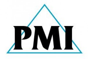 PMI Group (PMI-Technology Sdn Bhd) company logo
