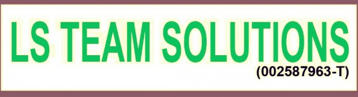 LS Team Solutions company logo