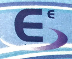 Effulgent Enterprise company logo