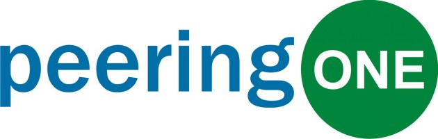 PEERING ONE SDN BHD company logo