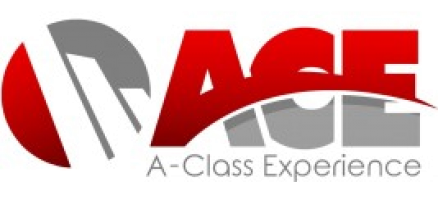 ACE NEX company logo