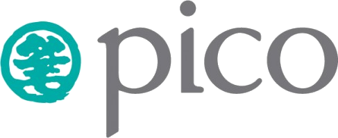 Pico International (M) Sdn Bhd company logo