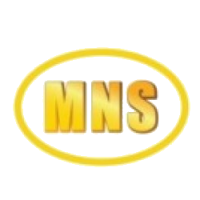 MNS WORK SDN BHD company logo
