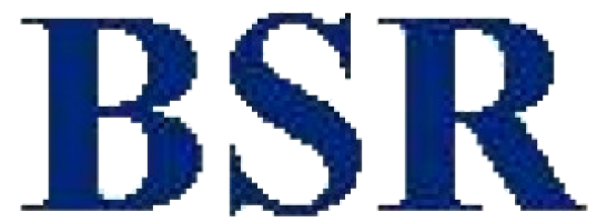 BSR Consultancy Services Sdn Bhd company logo