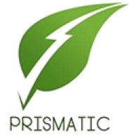 Prismatic Energy Solutions (M) Sdn Bhd company logo