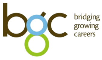 BGC Group Singapore company logo