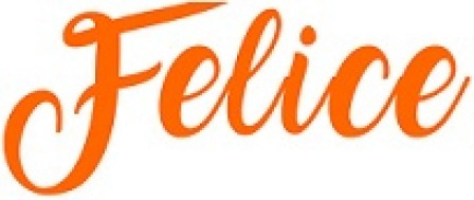 FELICE EXCELLENCE SDN. BHD. company logo