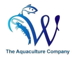 WYNNTECH UNITED SDN BHD company logo