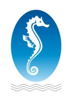 SEA HORSE SERVICES SDN BHD company logo