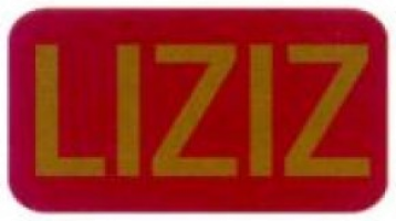 Kumpulan Liziz Sdn Bhd company logo