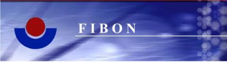 Fibon Berhad (811010-H) company logo