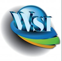 WSI Service Sdn Bhd company logo