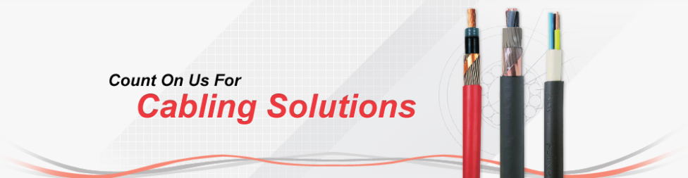 Banner for Electplus Industry Sdn Bhd