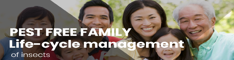 Banner for Pestro Management Sdn Bhd