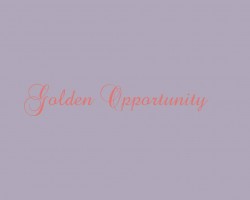 Golden Opportunity company logo