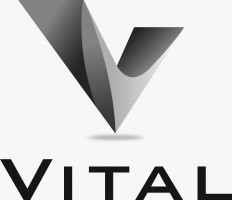 Vital Career Solutions company logo