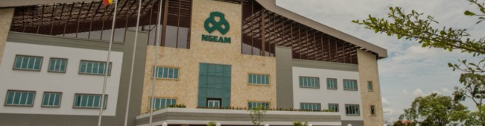 Banner for Ngeam Engineering Works Sdn Bhd
