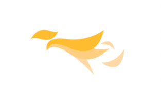 Bereev company logo