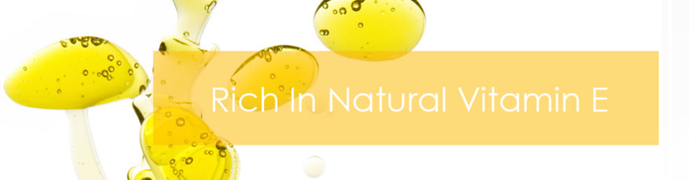 Banner for Gemilang Edible Oil (Malaysia) Sdn Bhd