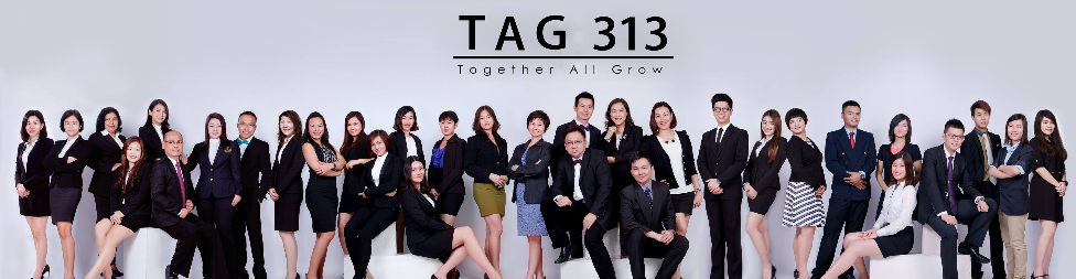 Banner for TAG 313 Sdn Bhd