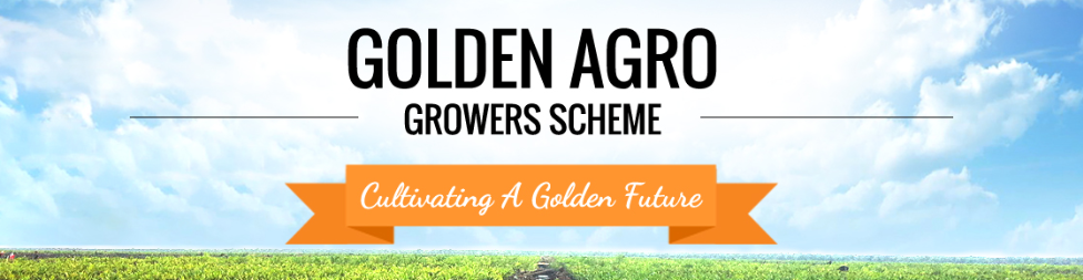 Banner for Golden Agro Plantation (Mukah) Berhad