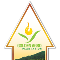 Golden Agro Plantation (Mukah) Berhad company logo