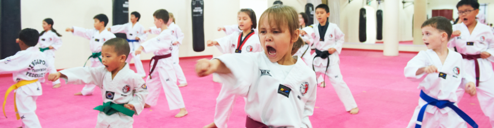 Banner for RIVAS TAEKWONDO NETWORK MALAYSIA SDN BHD