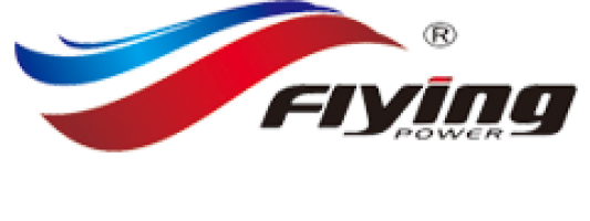 Flying Power International Sdn Bhd company logo