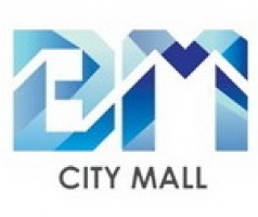 BM City Realty & Construction Sdn Bhd company logo
