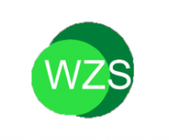 WZS Technologies Sdn Bhd company logo